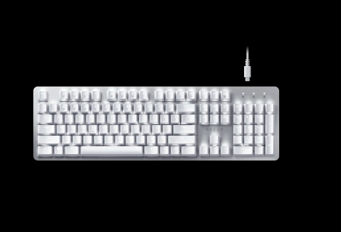 Die Tastatur Pro Type (Bild: Razer)